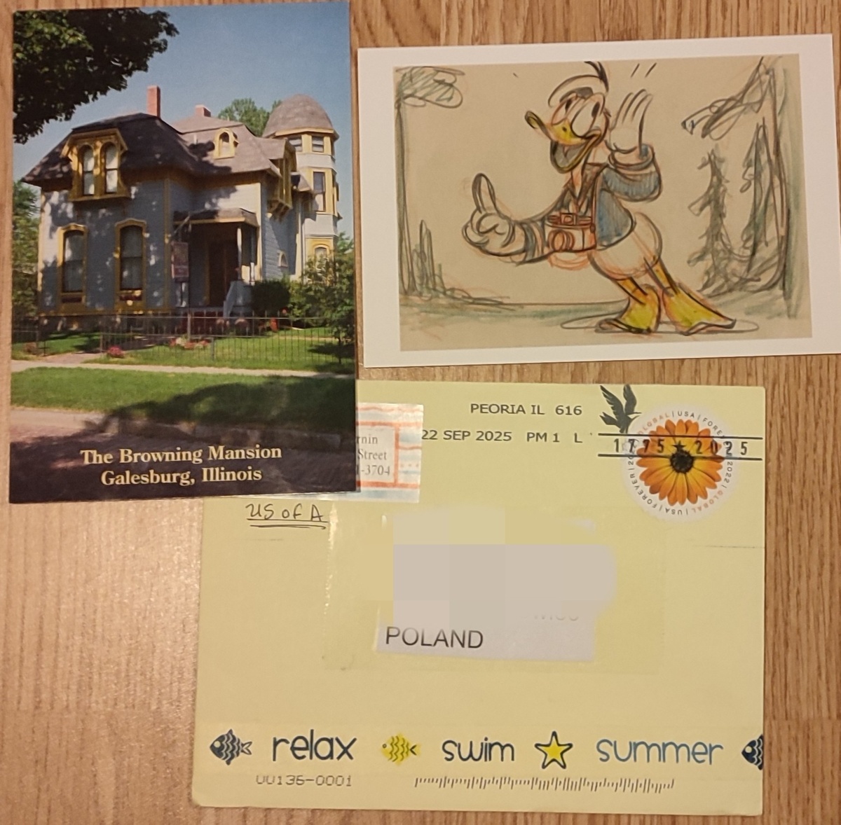 d786c5dc-814a-4f40-95d6-f9b5ff95b115