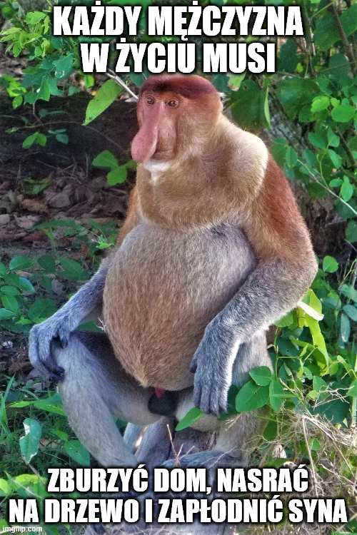 d4955a08-db52-409a-a358-89e93dcaf5b0