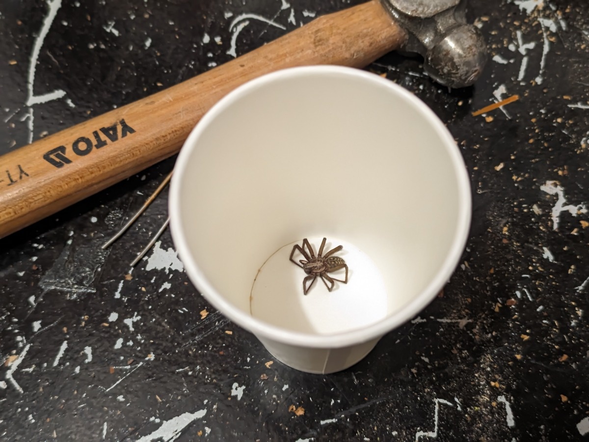 2eccb7d1-b783-4c50-9826-57ea7957f0c0