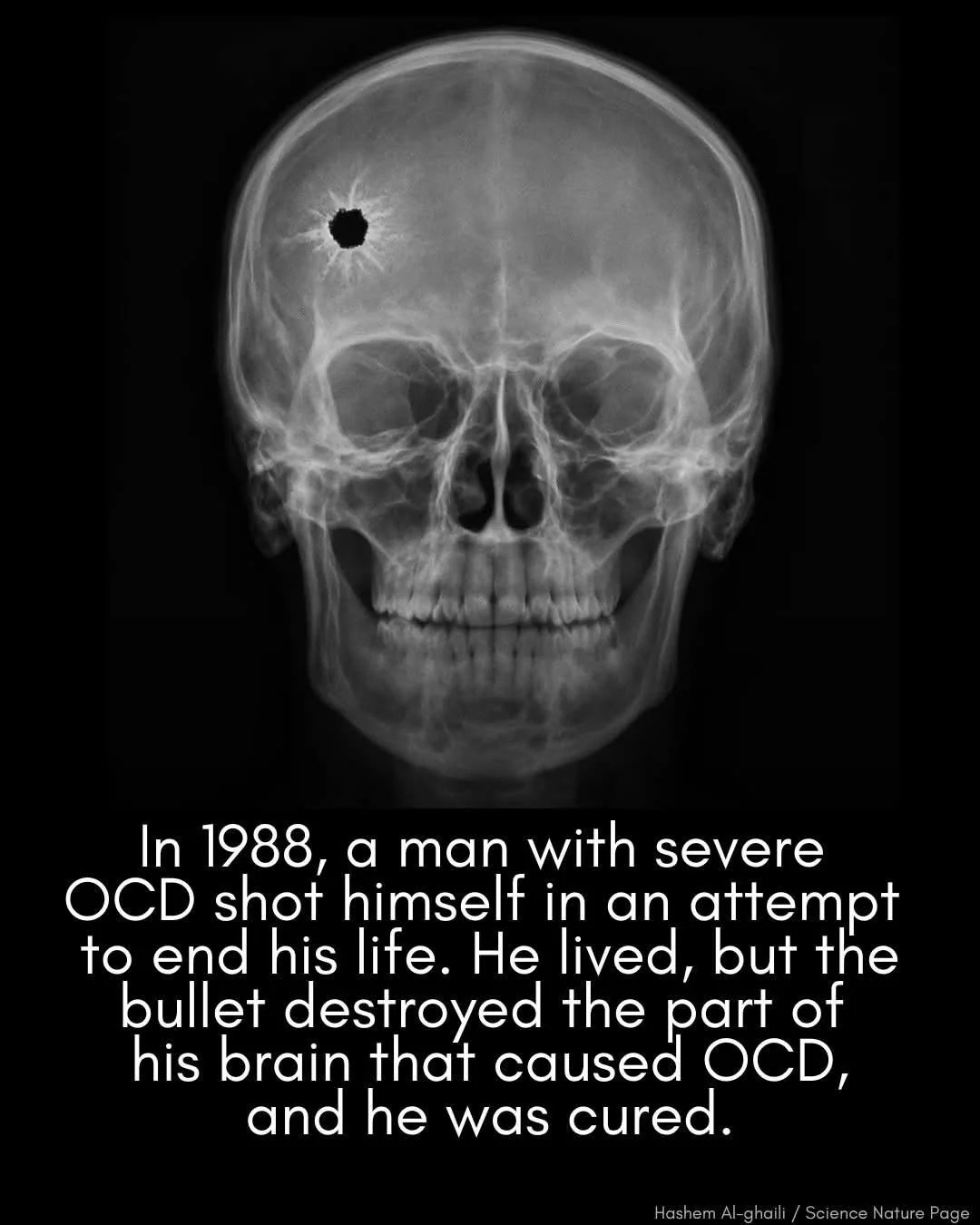 2077b294-a503-46b9-8d72-192ab20712f0