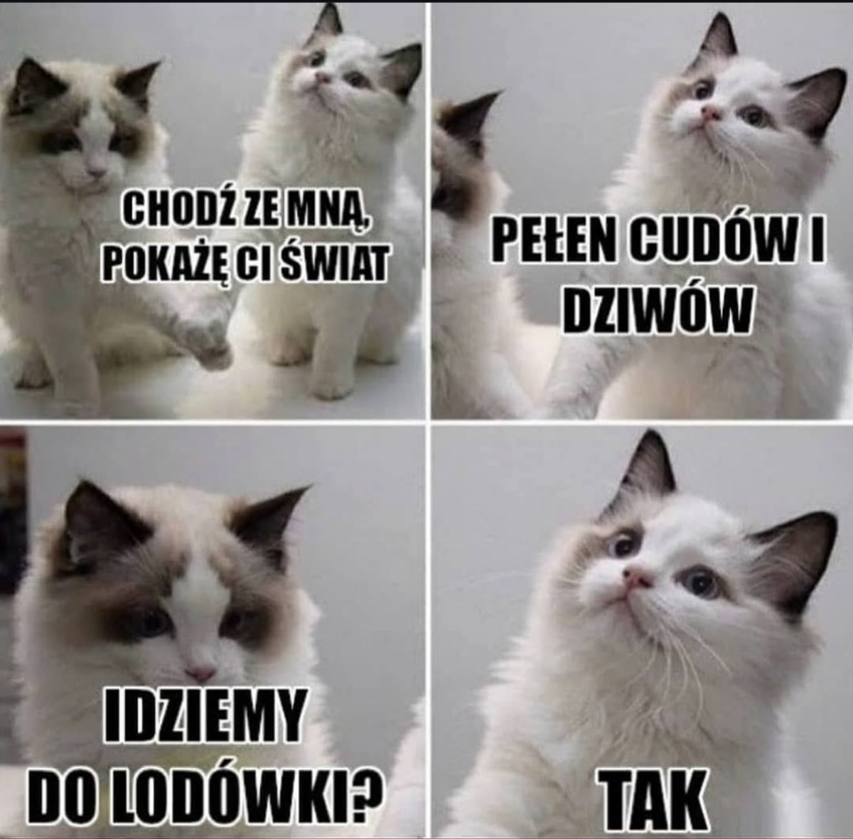 78f822bf-cdbf-4fe2-aae0-6558de1bb953