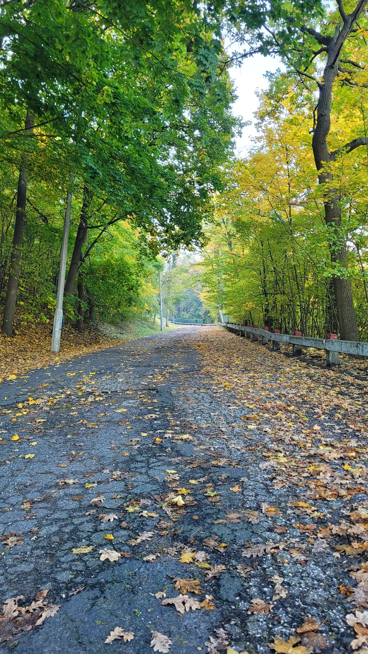 f40e2f49-0d19-4caf-989c-5c32613dfbfb