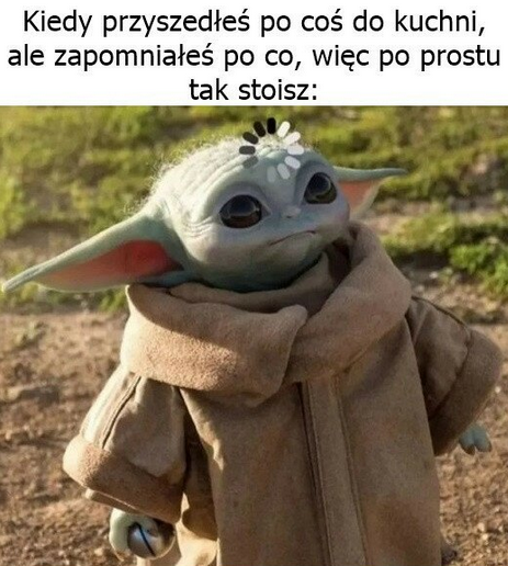 b4de686e-3075-47b4-b588-616a02c932fc