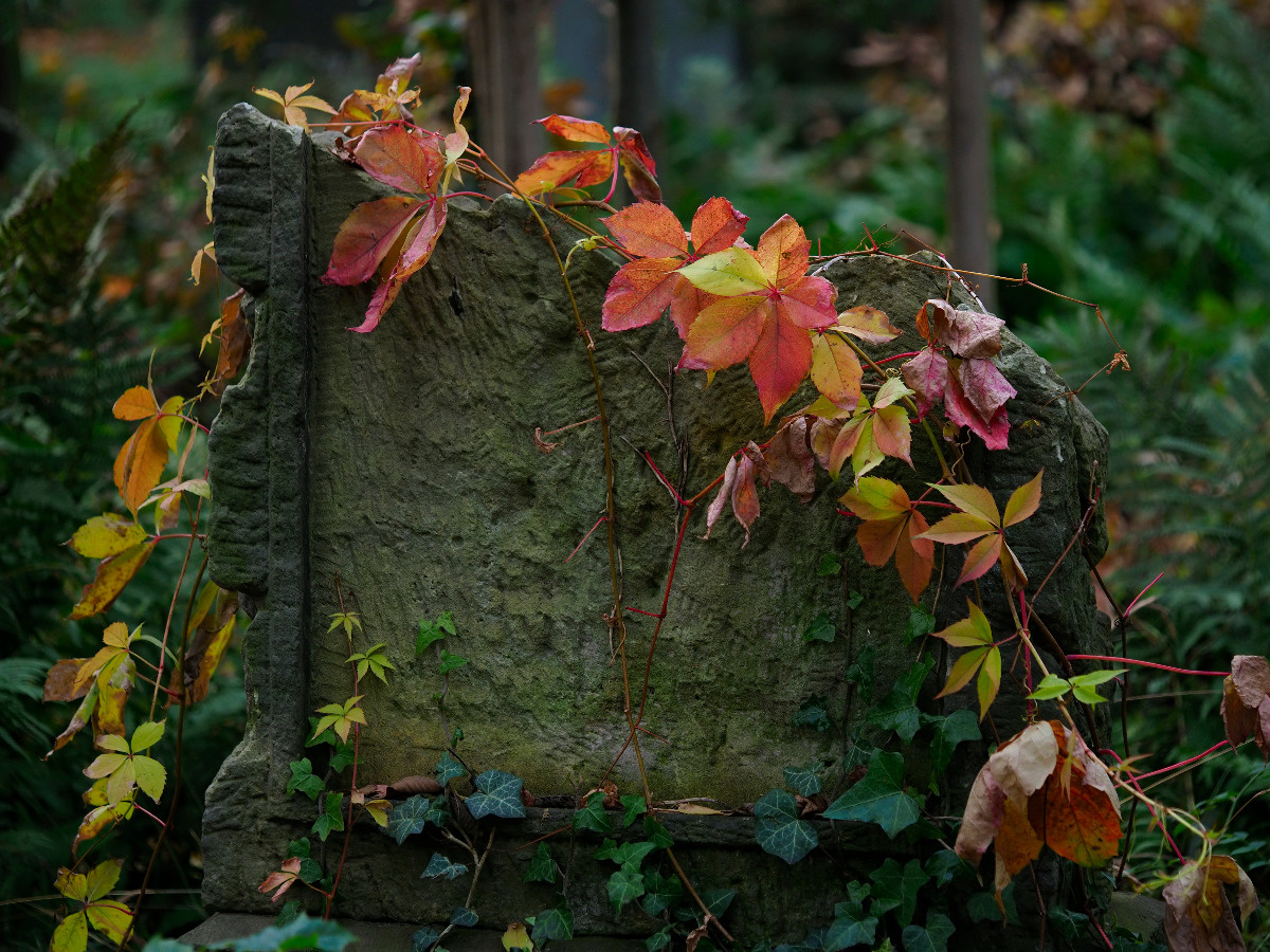 6d716c33-6343-4be0-b23e-43e086c58212