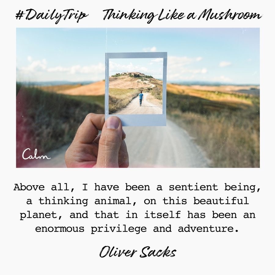 5da20ace-76e5-46cf-9be0-73407822ac63