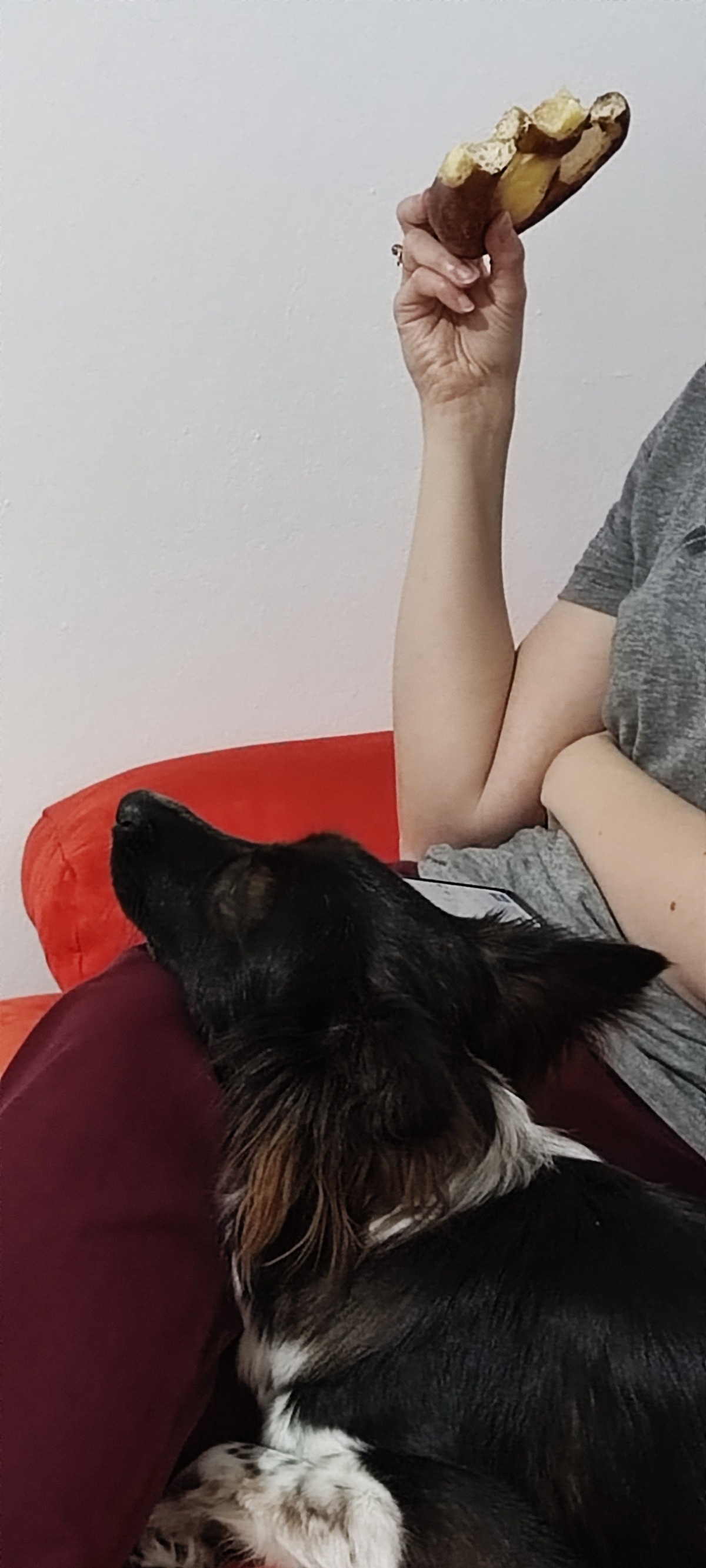 00bbf680-9e0e-4bc4-85ea-29d3d47cd1a3