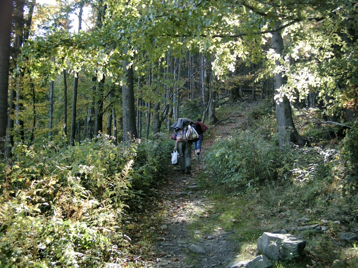 afbb6d15-6bfc-42d3-8c2d-a96bd7b411fa