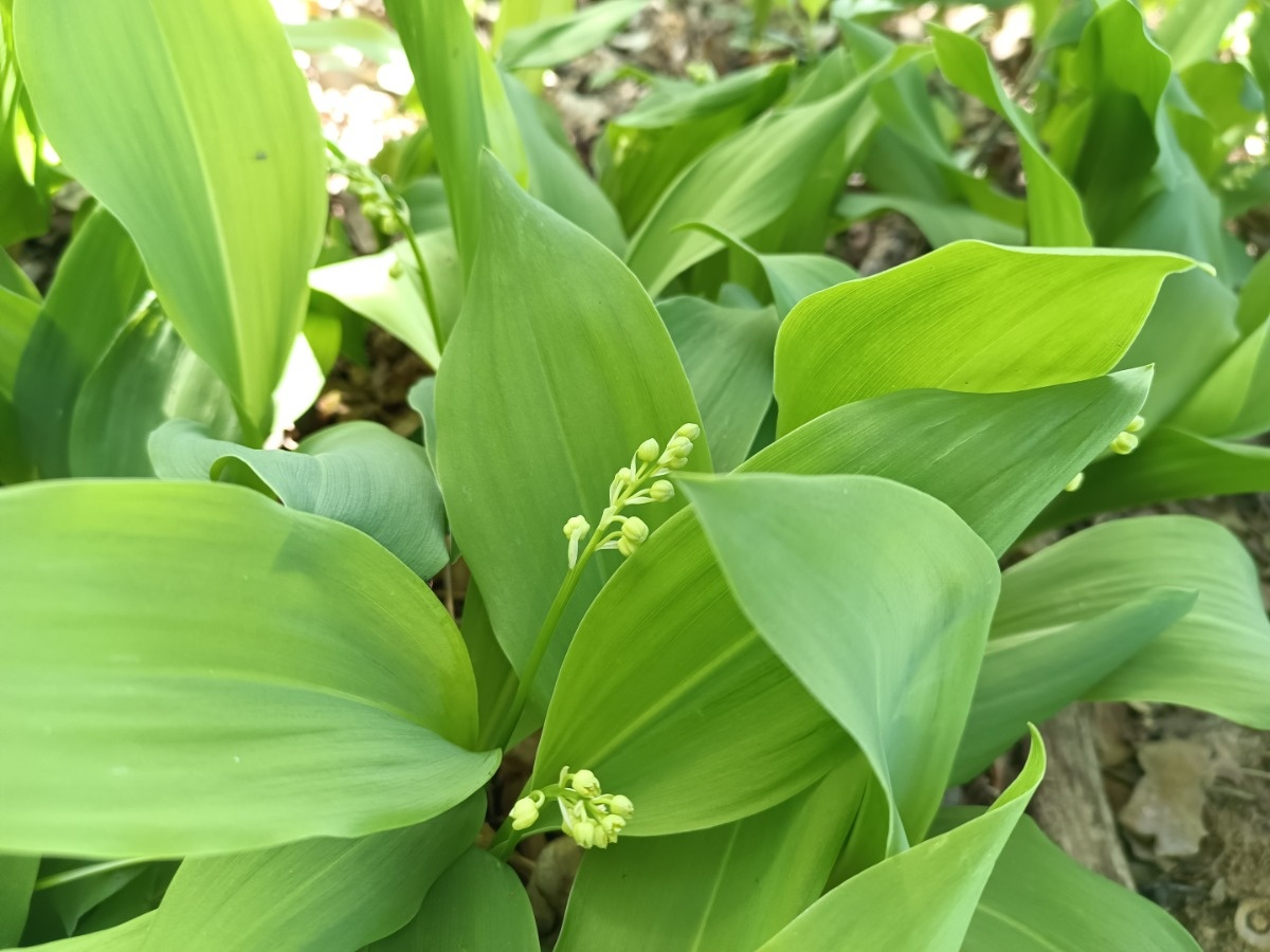 72670bed-efd8-4e7d-b9e4-01991fb9171b