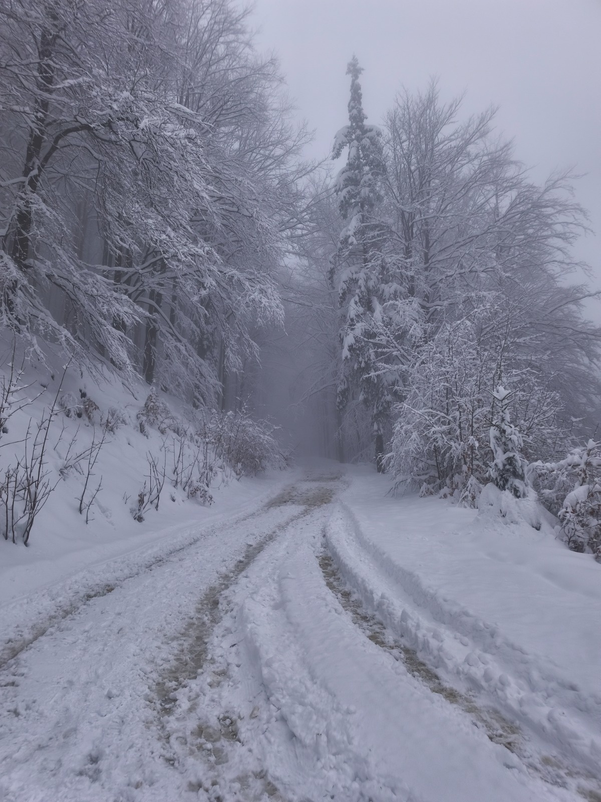 d82c7291-a14a-4da3-ada3-80a06b7e9a59