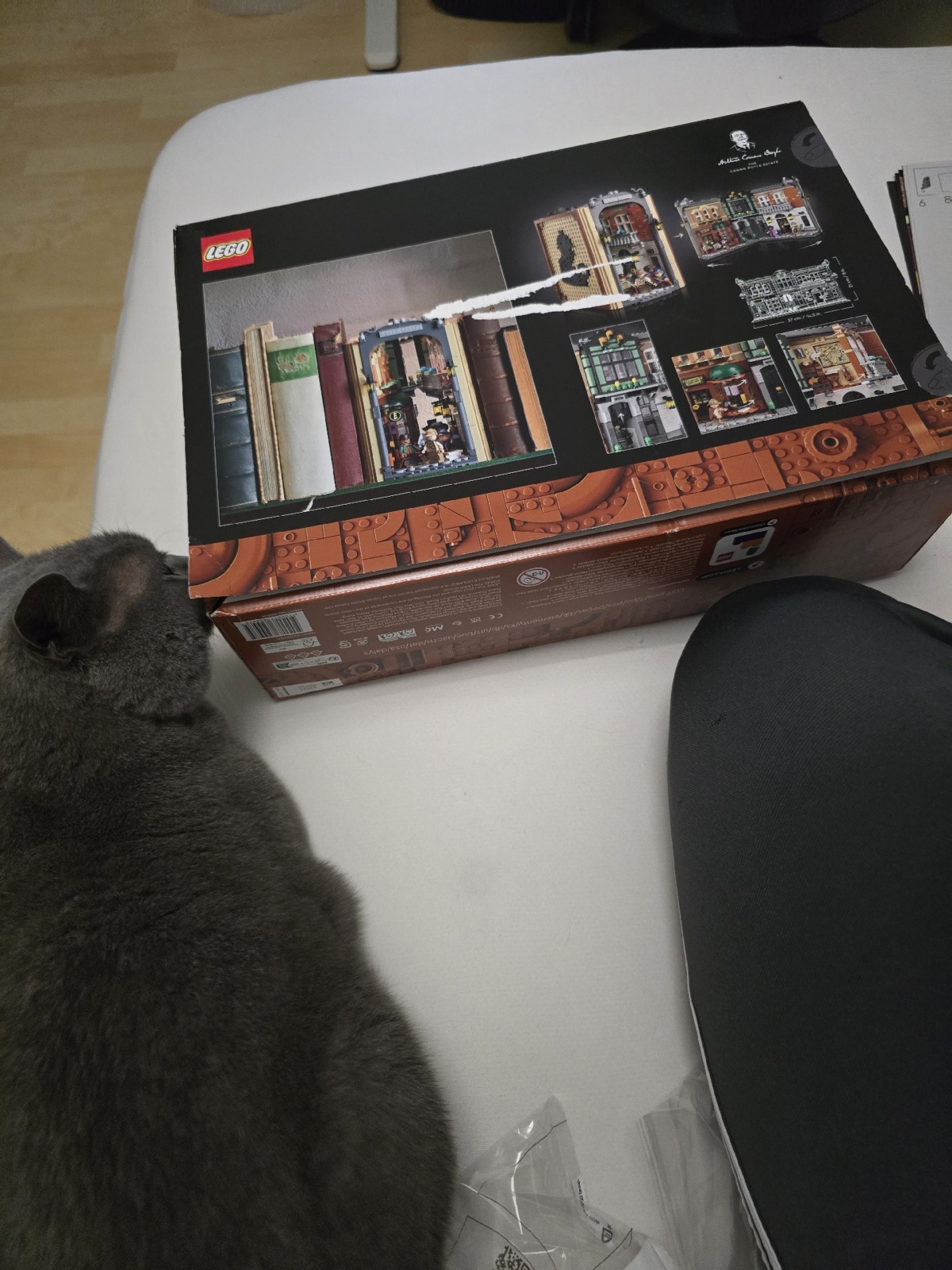 80565364-c775-46d8-88b2-d6836c293685