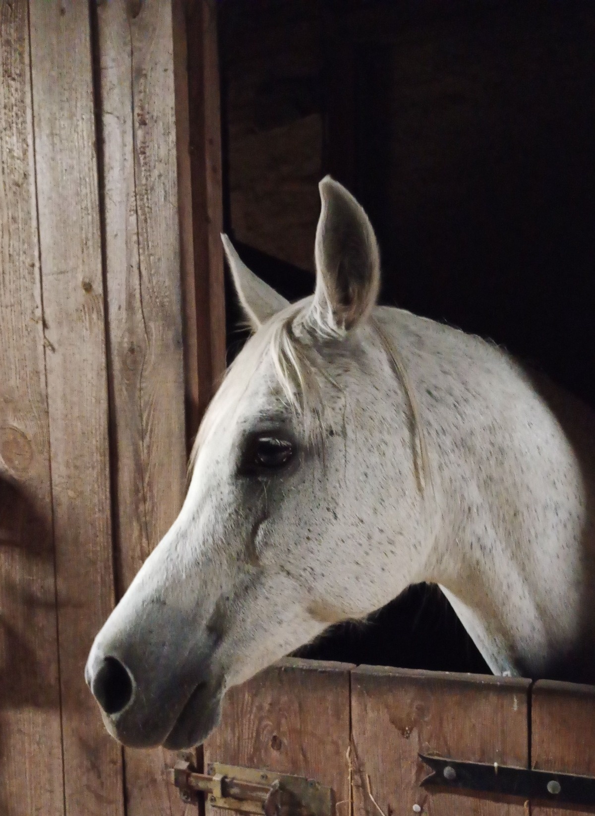 dc20c817-9b2d-4b70-9828-488b59670f4d