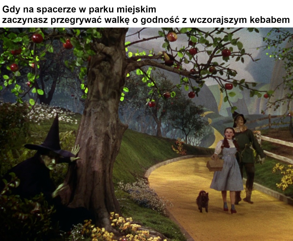 2b079013-353c-4377-992a-63d9872a1396