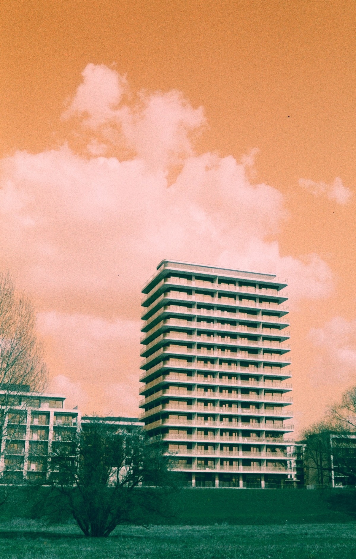 955065e6-664e-4e44-968c-7d0b0a5bbb8c