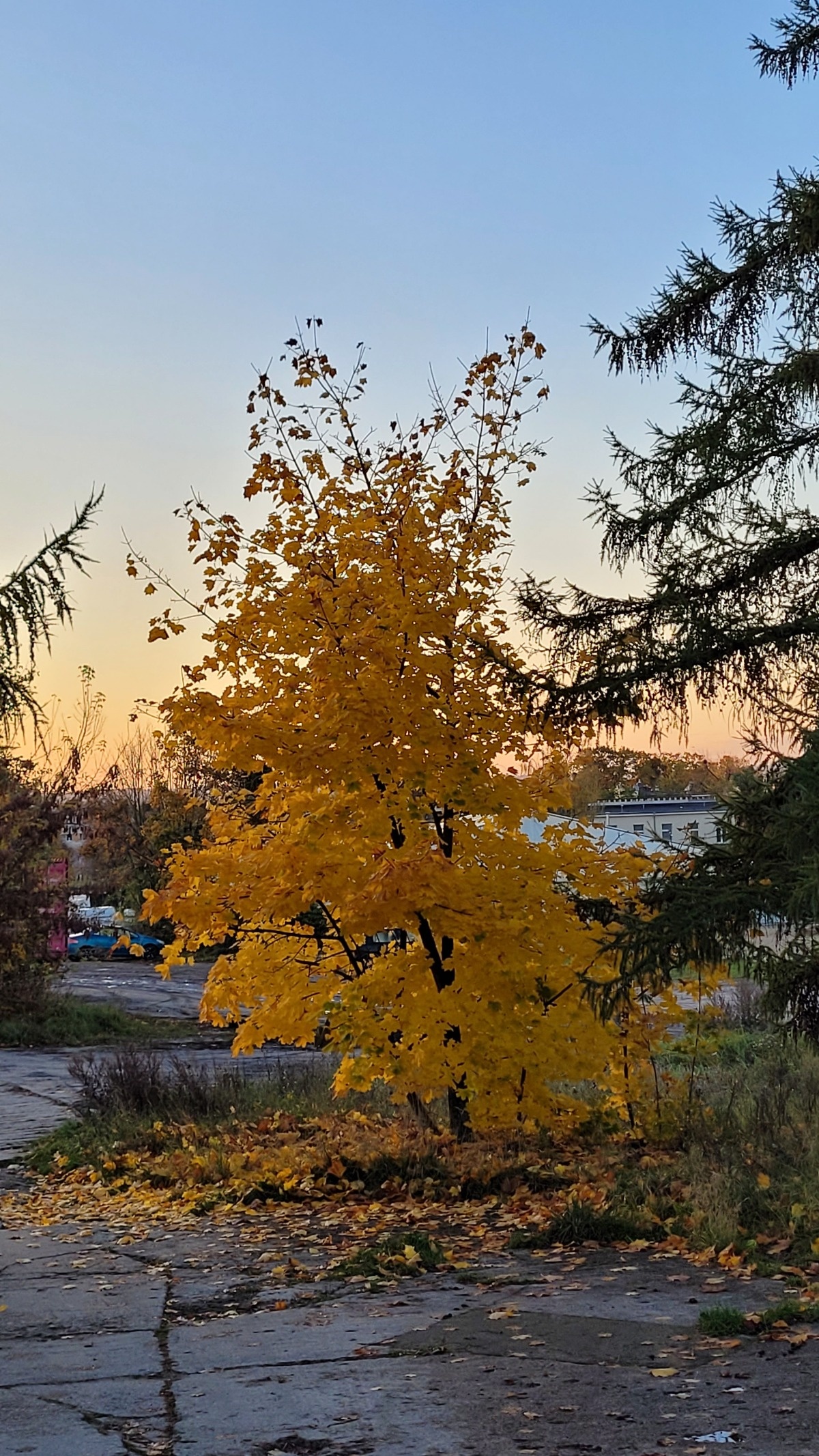 c868bbe7-1640-405f-a9c2-908cedd91570