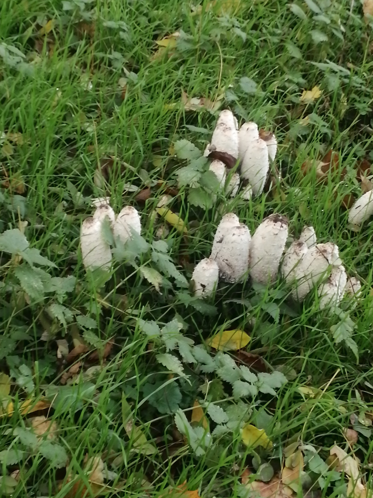 3e91c785-67b3-4deb-86d7-bee1785f565c