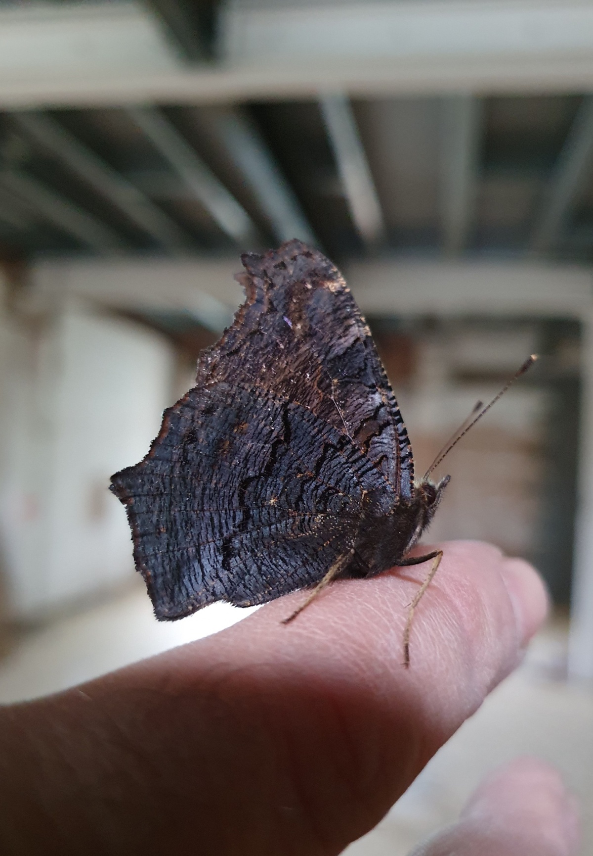 61af1980-9195-4b03-930b-1ea8bf3da1a6