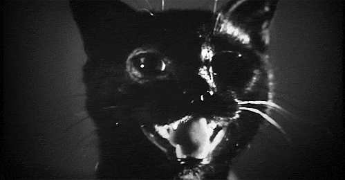 f3bba247-f56c-4a1b-8dfc-07c0ac0c952f