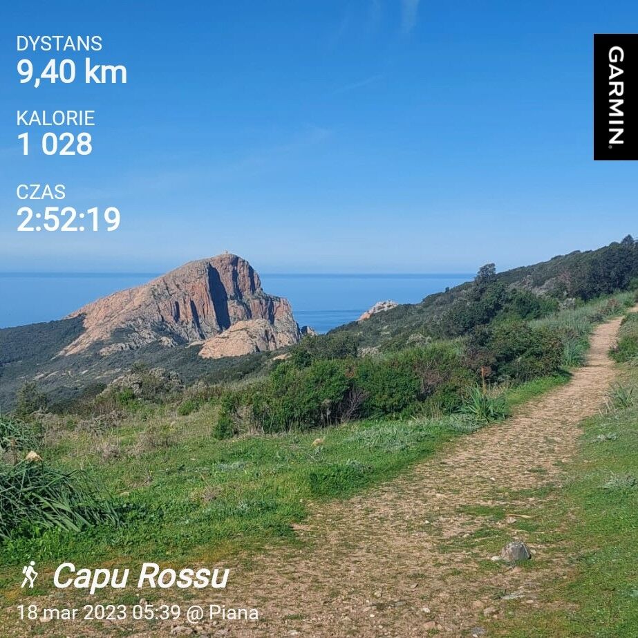 7d1d3cf6-e5d4-42ee-9a32-7732d4c9c420