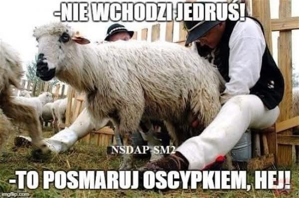 12eaaf8a-8cde-4de9-ad2c-a1f5bb12c7ba