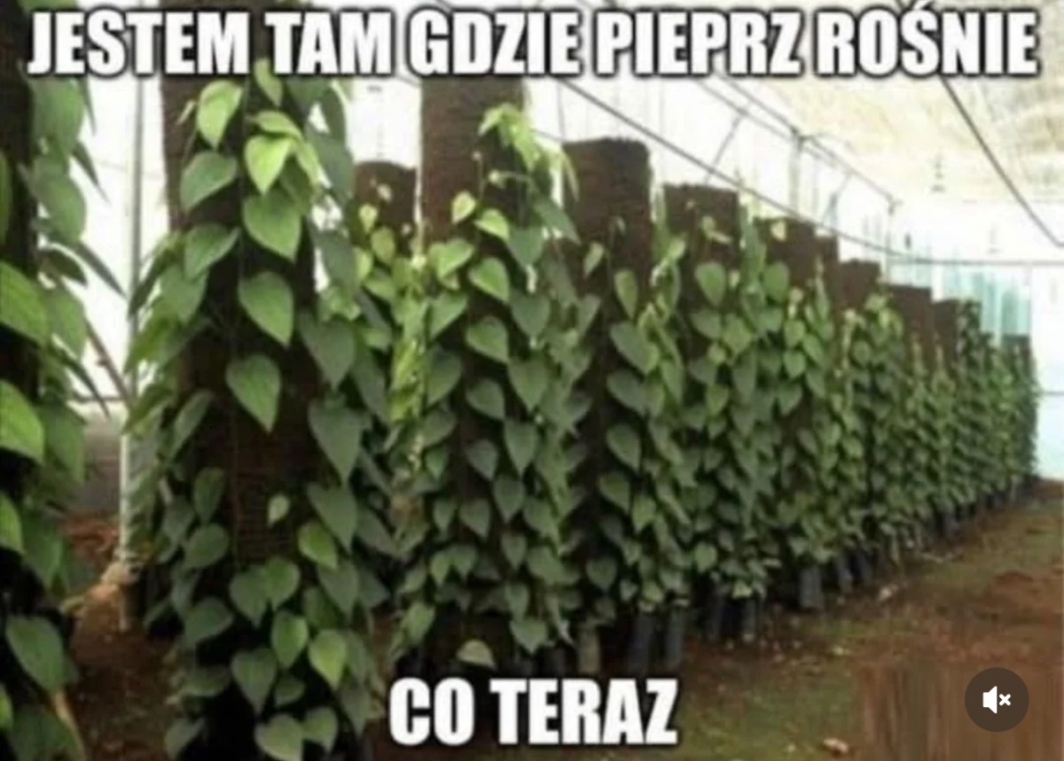 49ef59df-38f1-48d5-bd11-670fab187edf