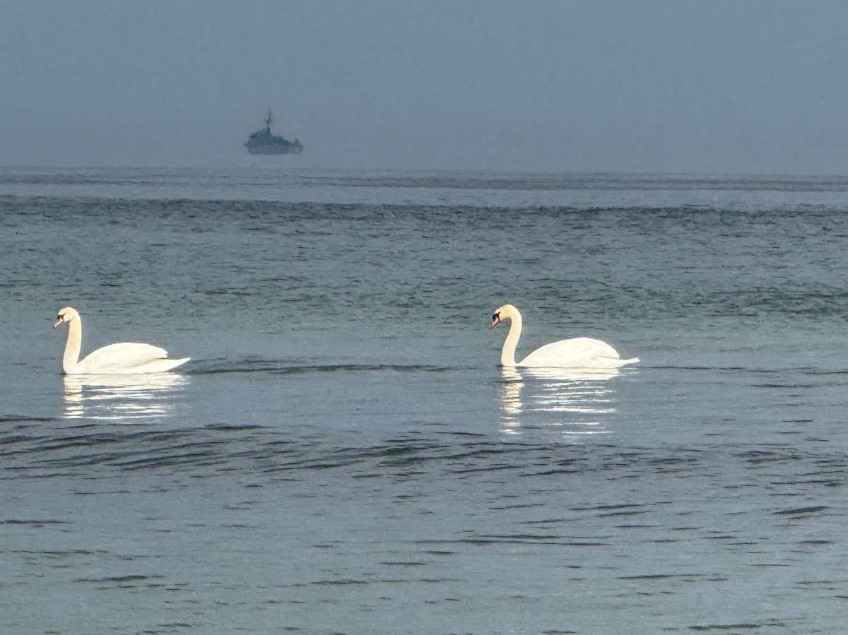 289f9de0-df8f-425a-8a77-3d1788ac3de7