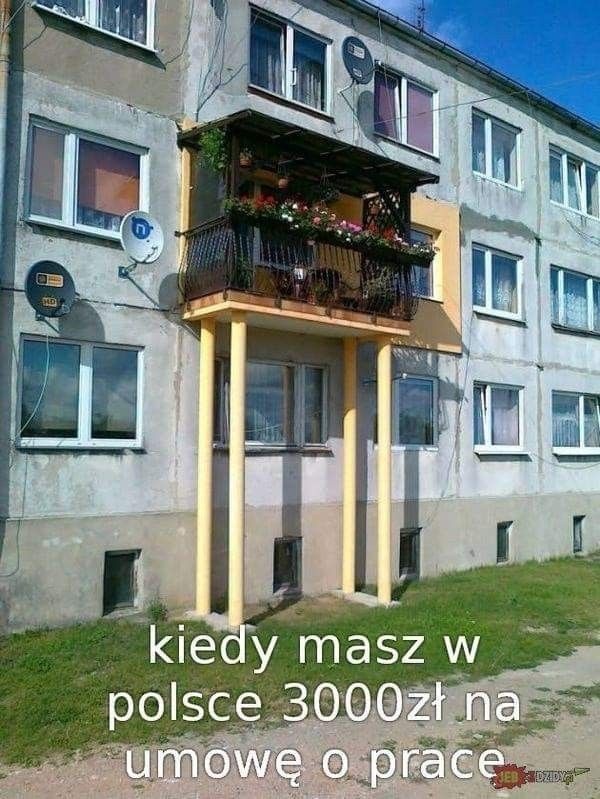 c5b5b7da-1e86-453d-bb45-75b12d5d89a4