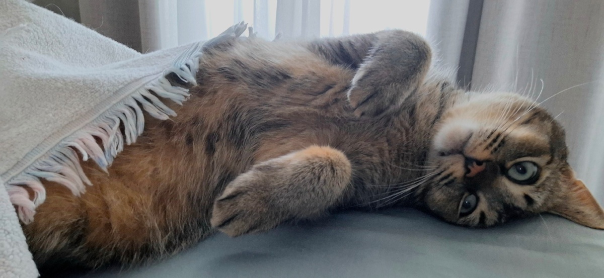 0a18848e-d7ad-4ecc-b2d6-7ec2e2a8e2c5