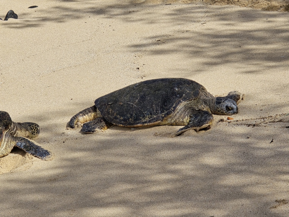 4326d187-3648-46af-95bf-f80f2093d62d