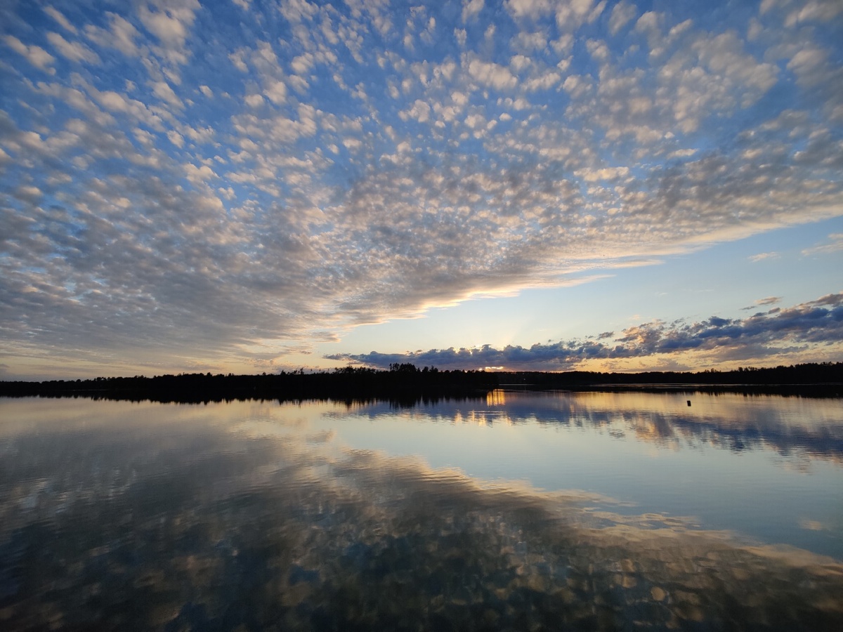 205e303d-59ae-4205-b387-92ccdc7c9c73