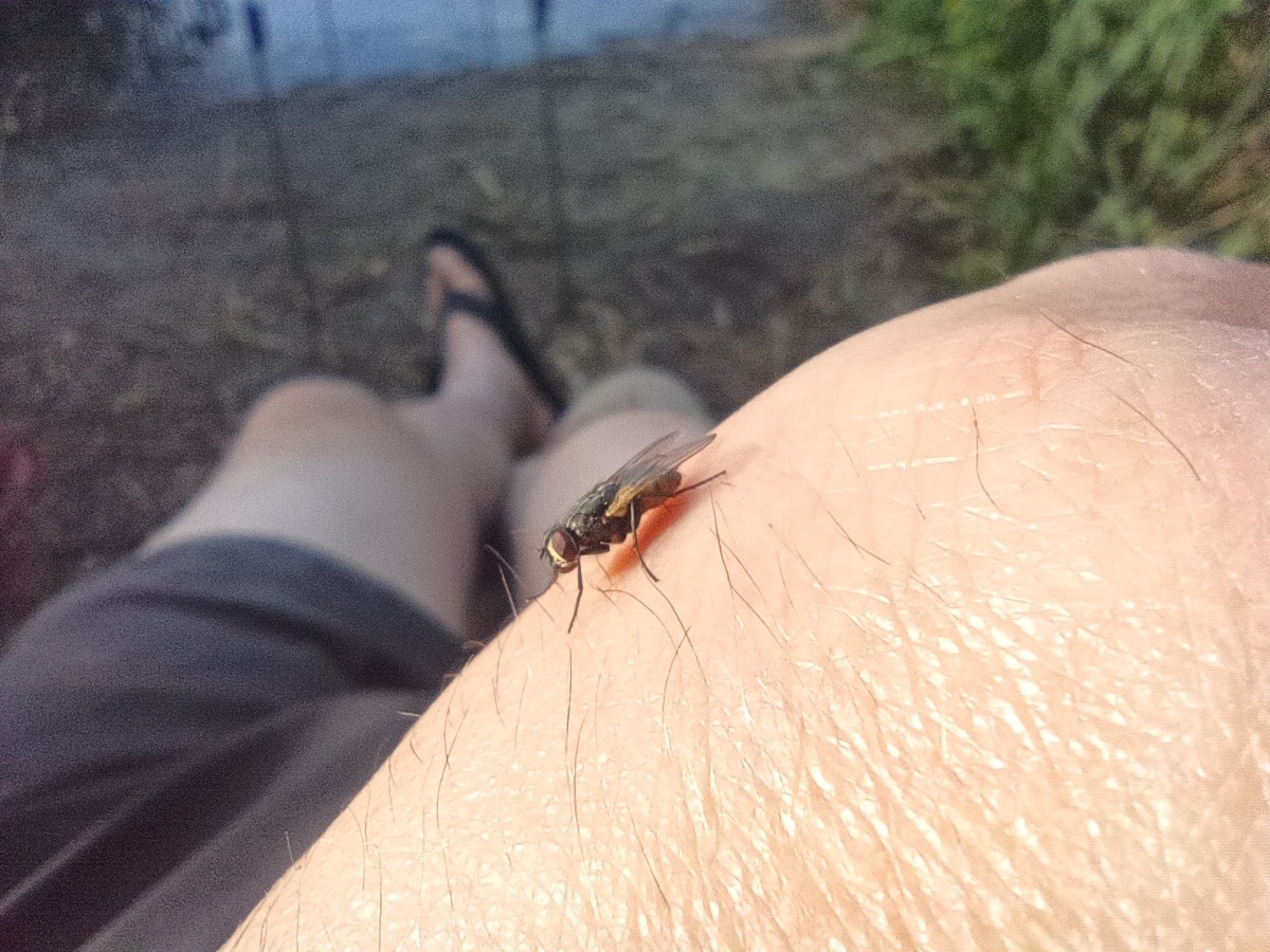 9a58daf5-790e-4744-abce-51afe372b7d0