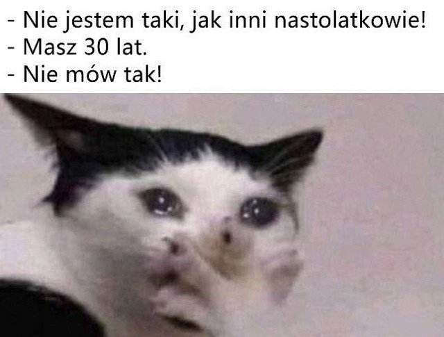 6d7b1d45-f493-4f52-a140-444e34c275e8