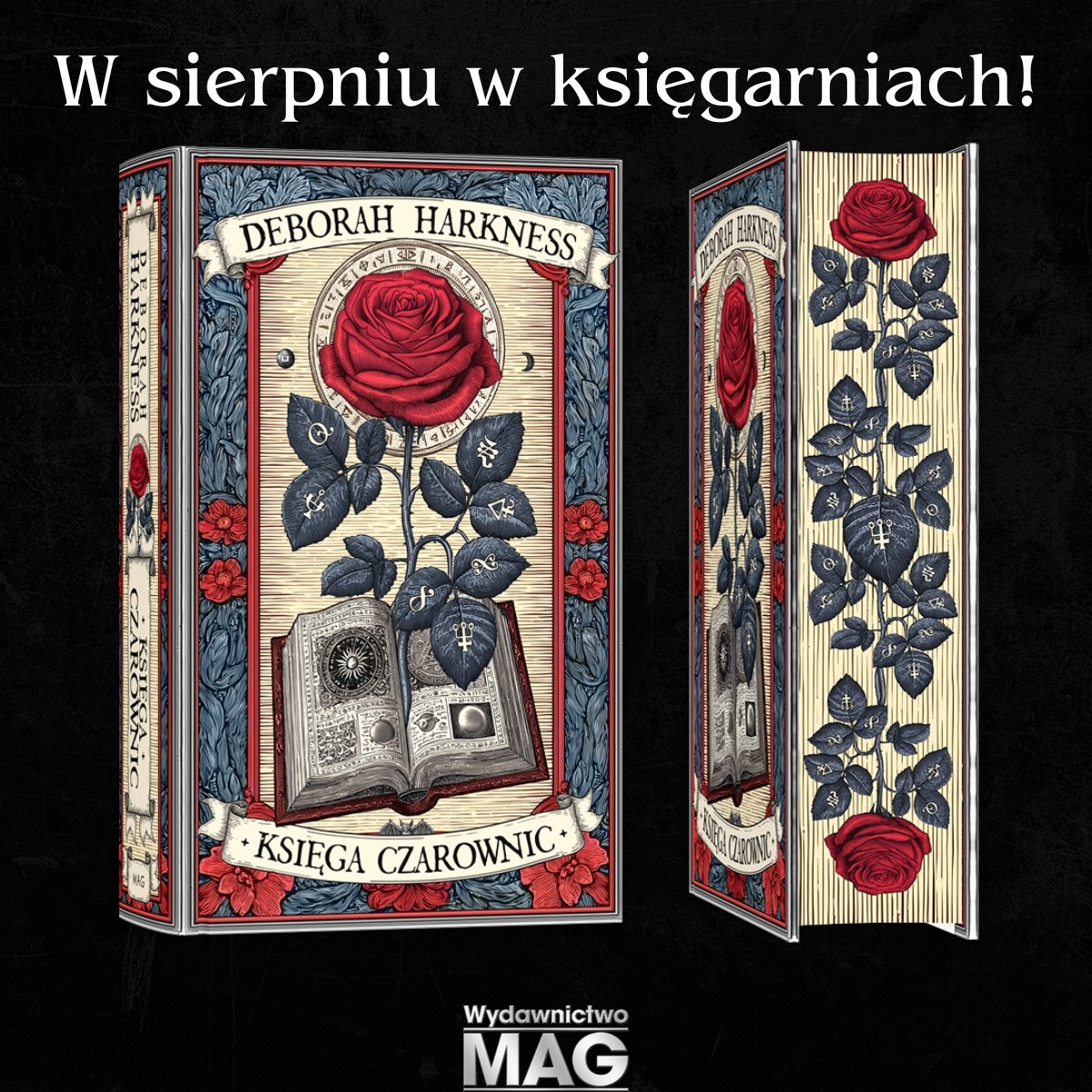 dcb298a8-11e1-4511-8b3f-d68b2f5d2324