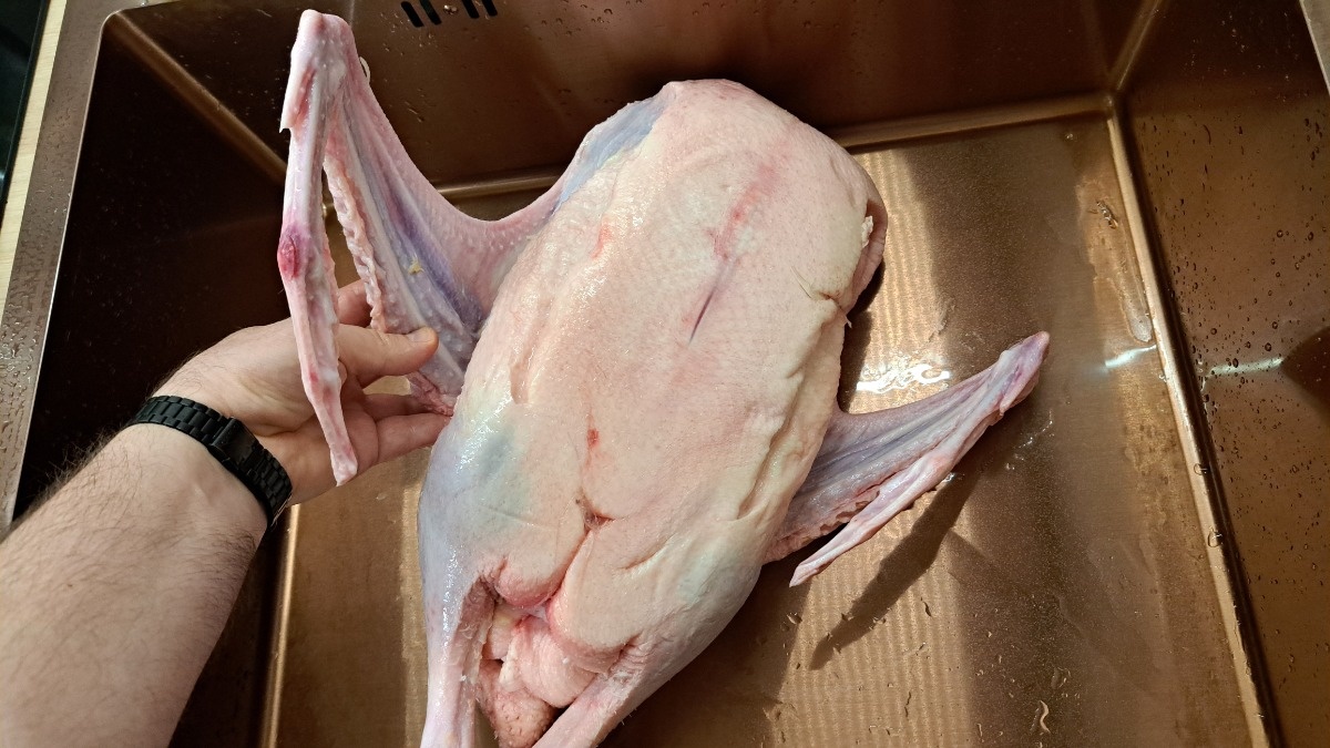 88703897-25e7-4768-8b69-9764e4beee16