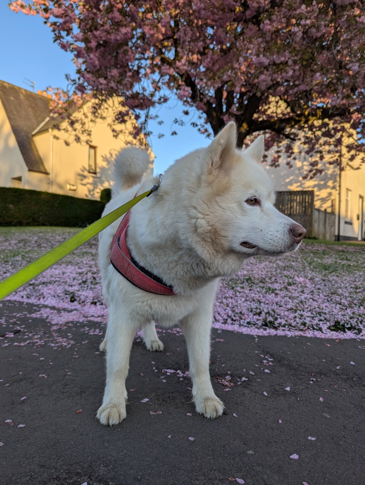 e2516965-9ea5-40e8-8654-baece975d8f7