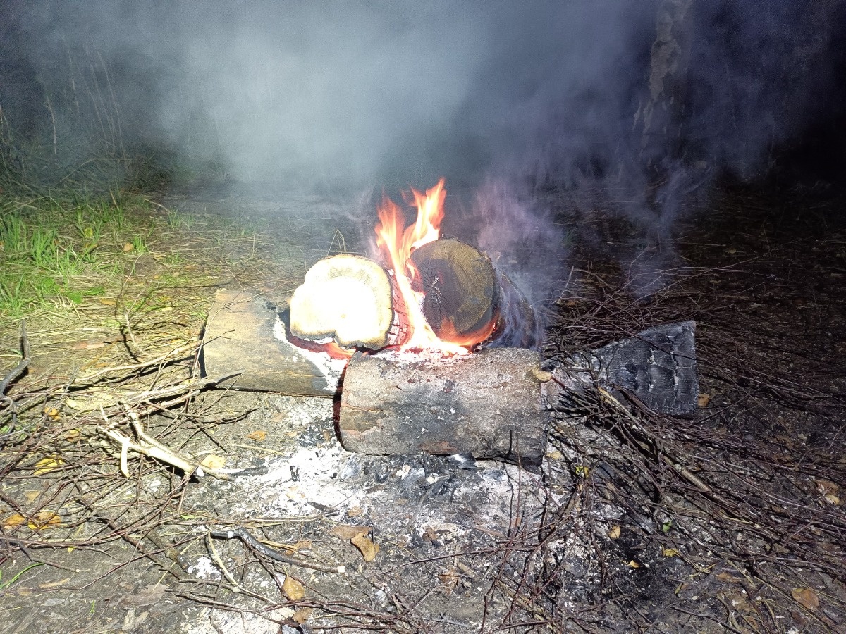 9e15b925-04c0-4952-880a-4bfd92f7c1ab