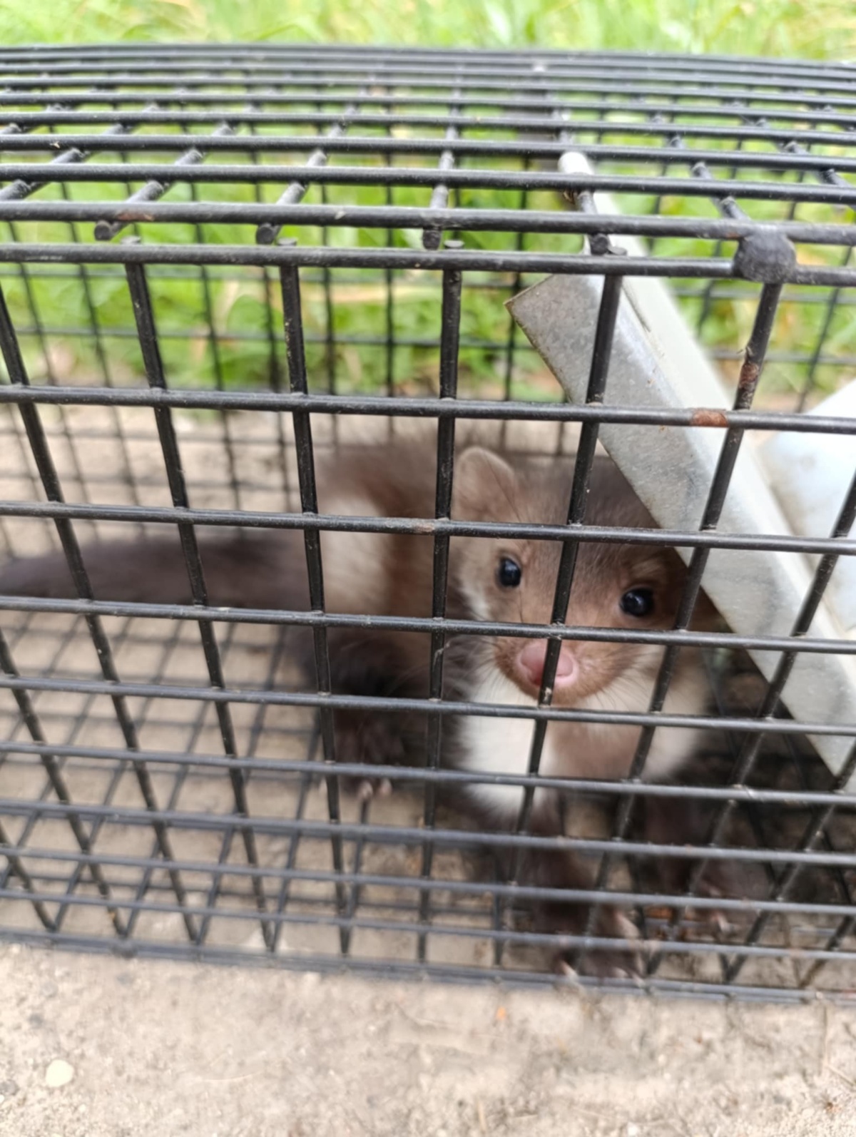 63a08c19-1bf3-4336-b0e5-bd994a134dd6