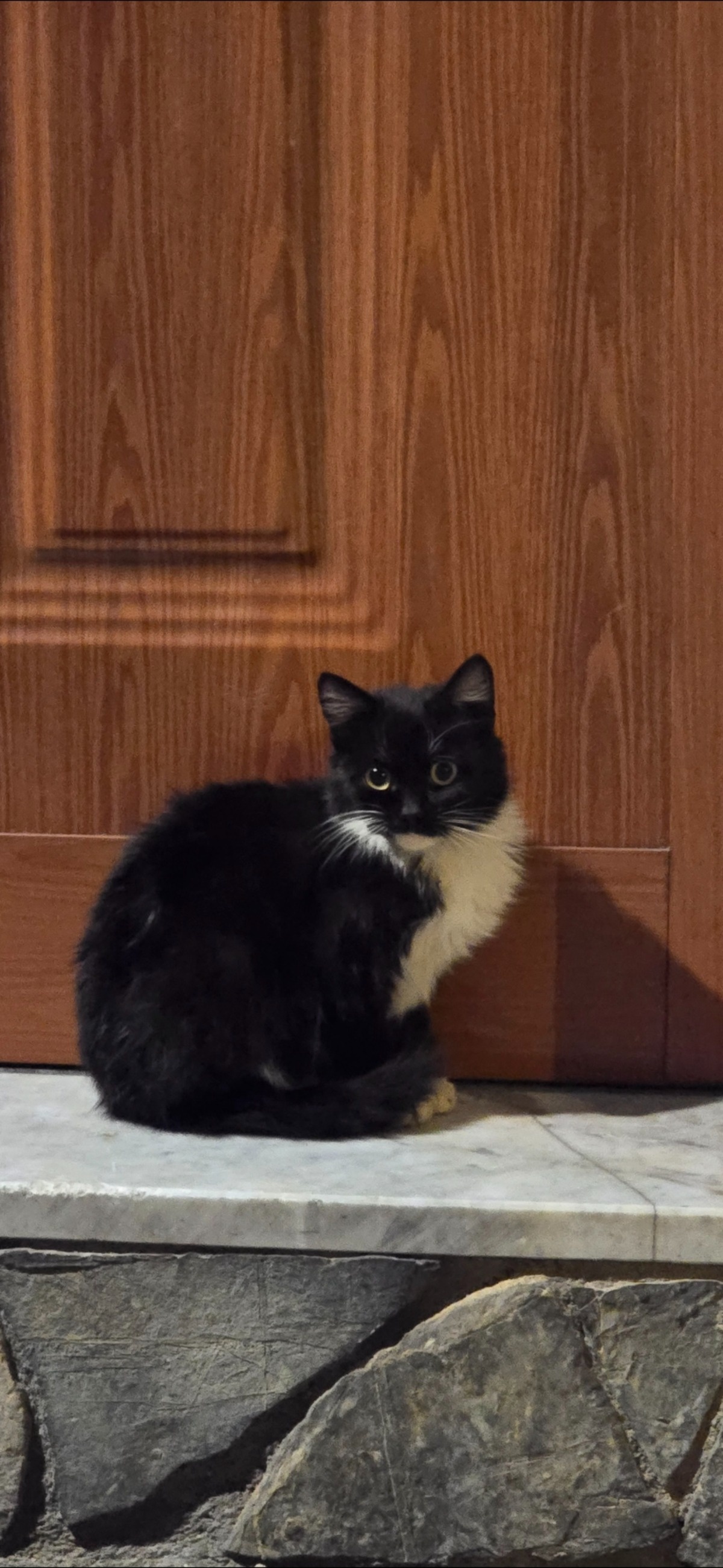 9a8895a2-0ce6-460b-99fa-b32abb0e3ece