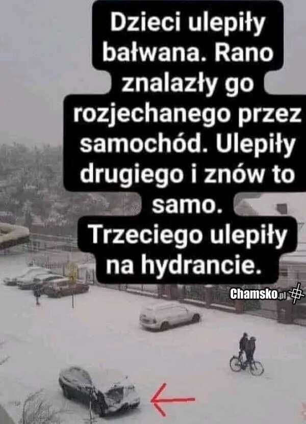 ecb5b514-f447-4660-b85b-79137059b5b4