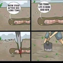 06634fe0-9a6d-4d8d-9a0a-8e8d158a4a6d