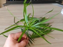 452b7c60-9f9f-4dfd-94da-fd5d13b3c7db