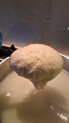 22bccf49-26ce-4d5d-a5ff-fa45653b936e