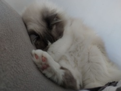 4de16465-29a9-409e-8b18-2213be19a94f