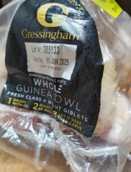 efe6162e-405b-4ea9-8387-0b21cb4cc762