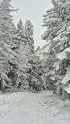 19765441-3071-4285-ac44-03e60a228415