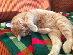 be44f93c-f4d6-4d84-b5d4-848202ce7bb9