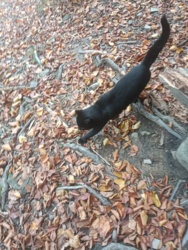 5ff9513e-76b1-490c-8fe2-52de87e00f35