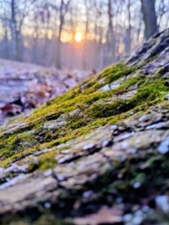 33d33687-d598-4a1f-b356-1b29bf64dd69