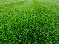 945c24f0-70cc-4324-a14d-082b5feabda4