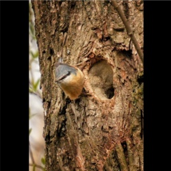 535dd8ee-04f6-49f0-95d4-91d9b389cad6