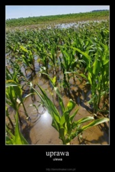 b2670b9c-fbee-47d4-bd1f-d6d41a4a50c6